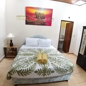 Guest house Muka House